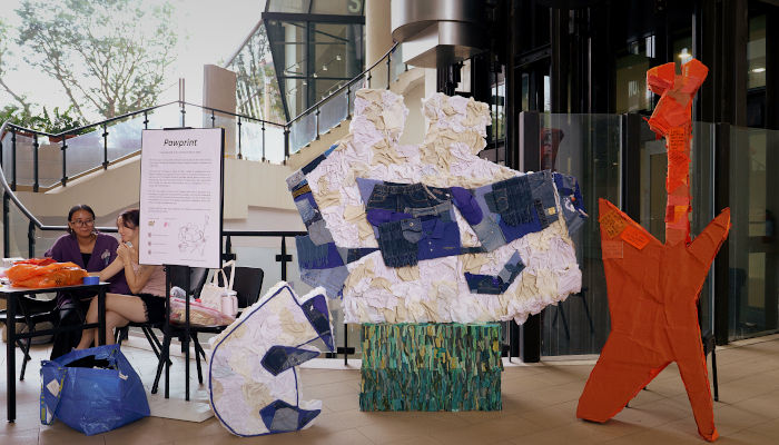 Presenting Fashion as a Shared Ecology